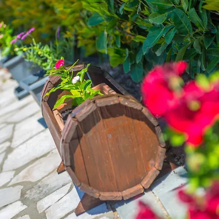 فيلة Sunny Retreat بلاغاي